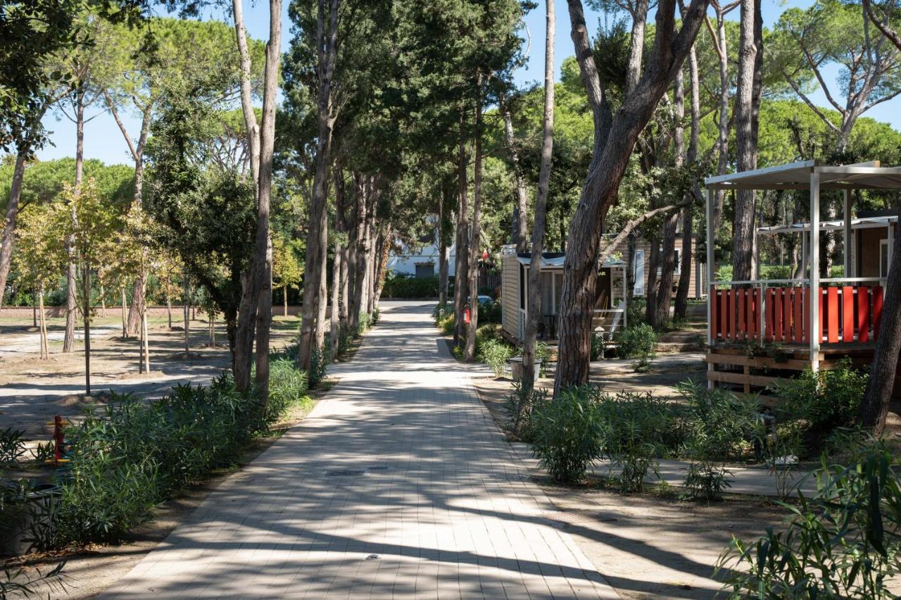 Camping Il Capannino Glamping Village Marina Di Bibbona Kültér fotó
