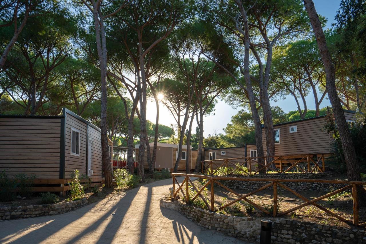 Camping Il Capannino Glamping Village Marina Di Bibbona Kültér fotó