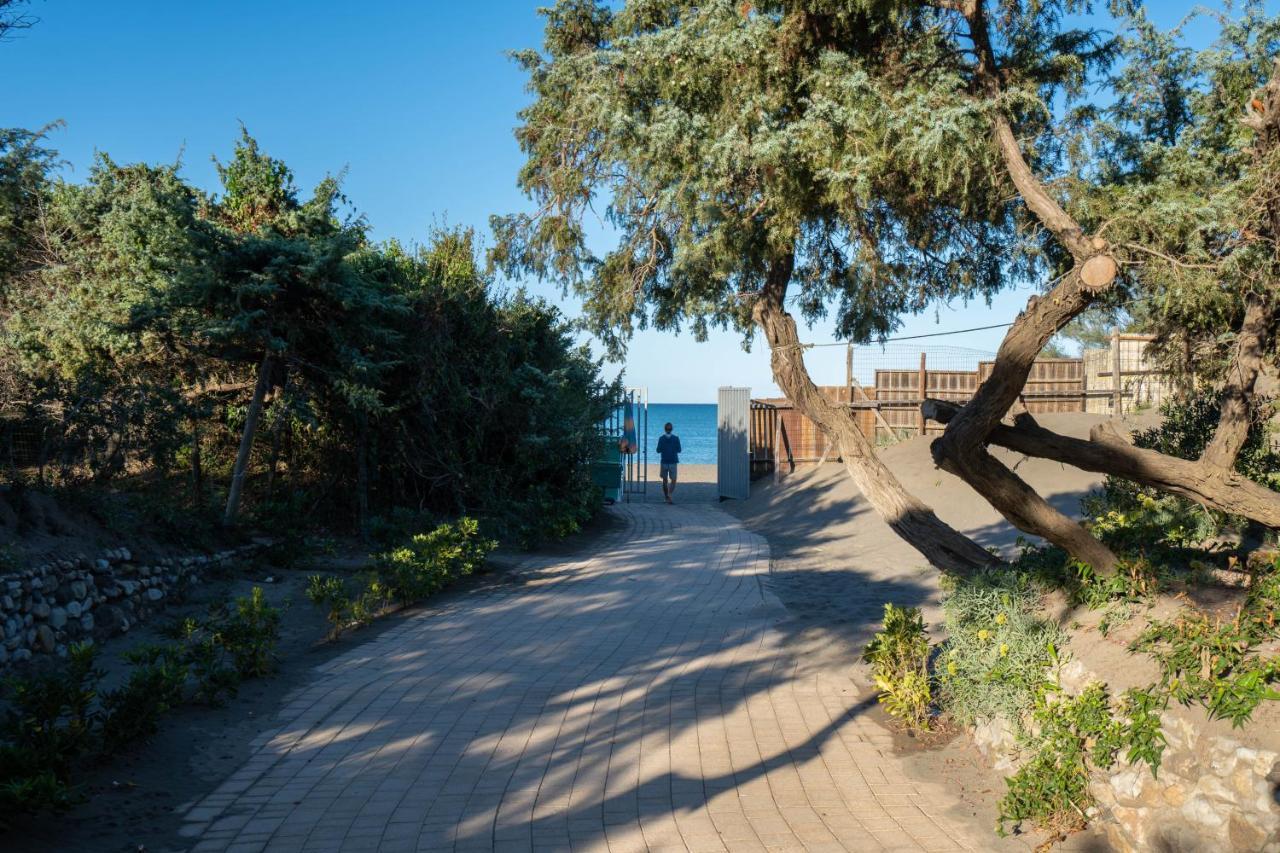 Camping Il Capannino Glamping Village Marina Di Bibbona Kültér fotó