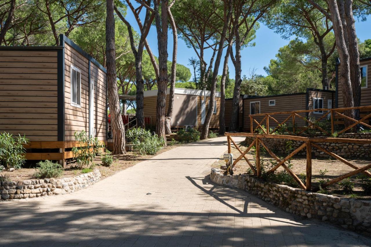 Camping Il Capannino Glamping Village Marina Di Bibbona Kültér fotó
